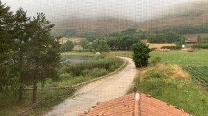 image1 image1