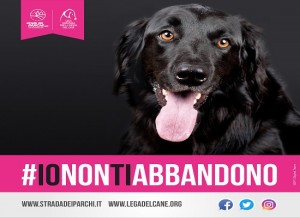 animali animali